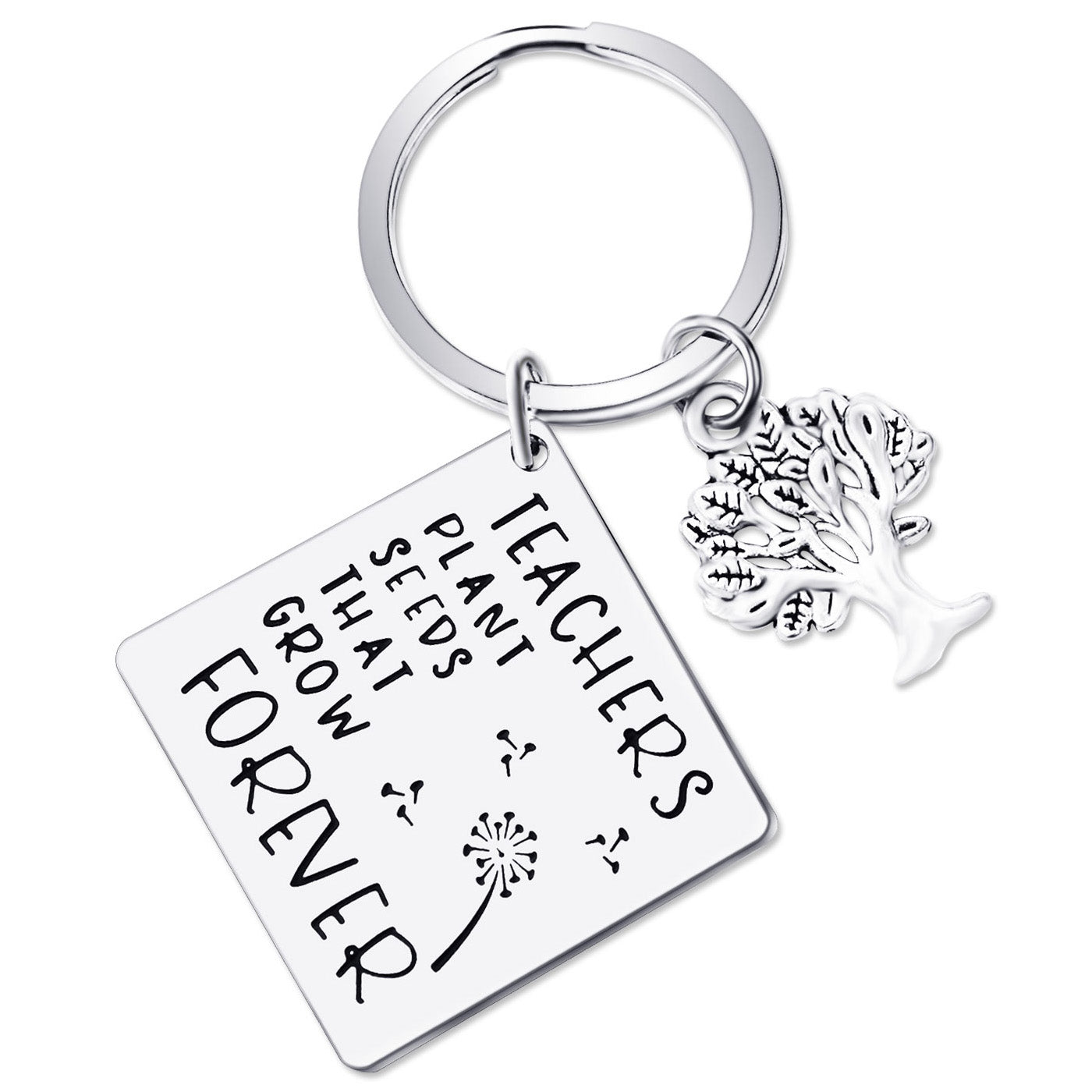 JNB/k0070/Inspirational Engraved -Teachers Plant Seeds That Grow Forever